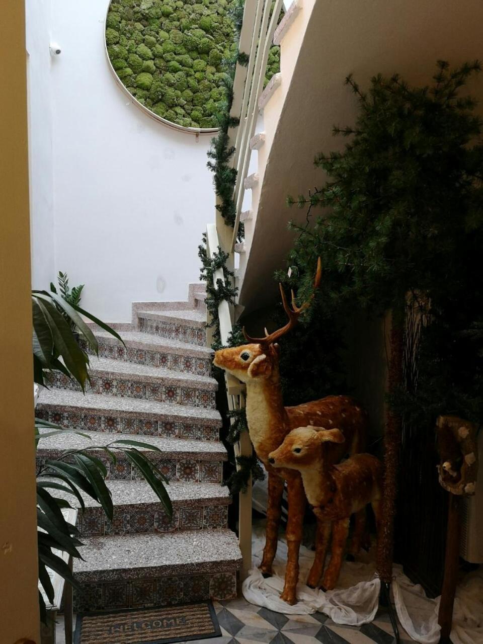 Sali Boutique Hotel Alejandrópolis Exterior foto
